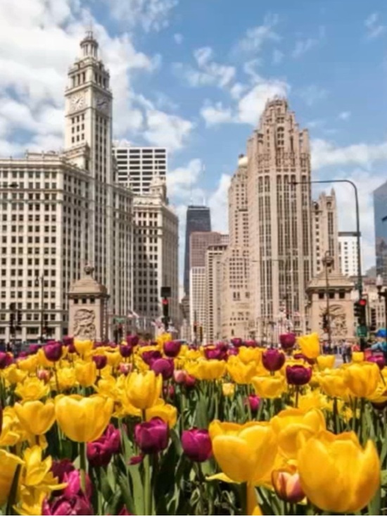 Spring Fling - Picture 4 of 4